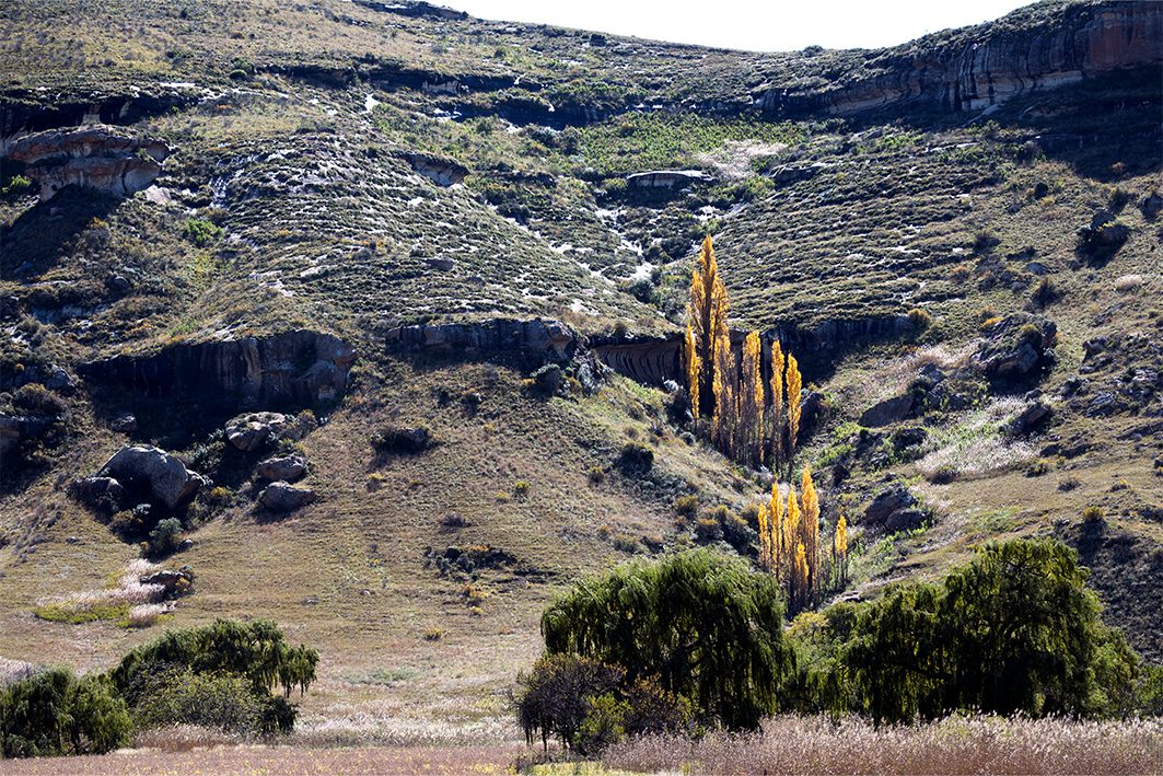 the-colours-of-clarens